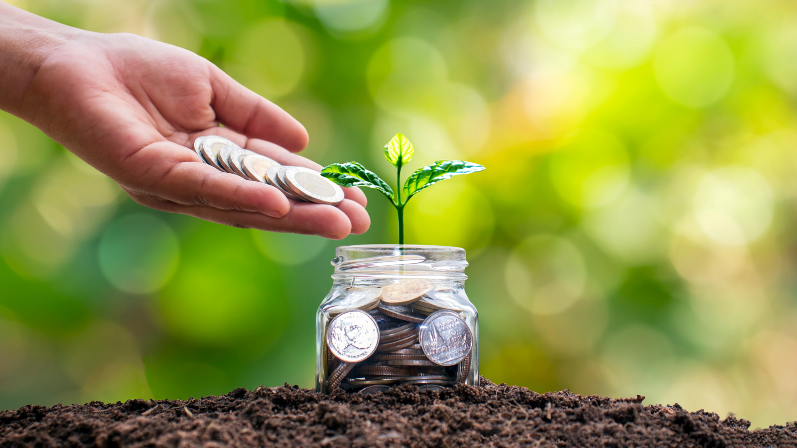 A hand placing coins into a jar filled with money, with a small plant growing from it, symbolizing growth and sustainability in investments. Perfect representation of the Indonesia Investment Market 2025, showcasing stability and opportunities in renewable energy and other sectors.