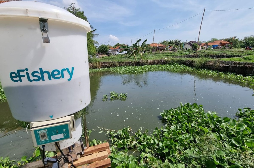 A fish feeding device from eFishery is positioned near a pond surrounded by lush greenery, highlighting the company's innovative aquaculture solutions amid concerns raised by the eFishery fraud allegations.