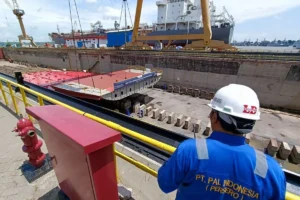 A PT PAL Indonesia engineer oversees shipbuilding operations at a dry dock, reflecting Indonesia shipbuilding industry growth.